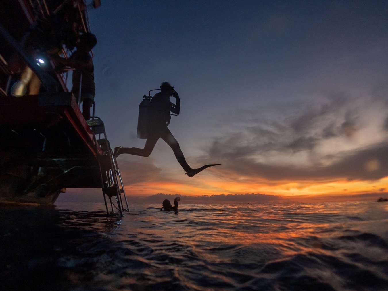 Night diving around Koh Tao Thailand