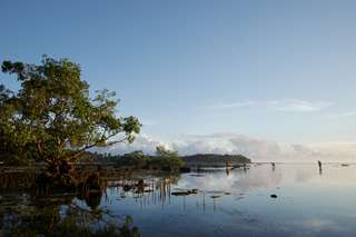 Hutan Mangrove Bali: Harga Tiket, Fasilitas, dan Tips Sebelum Berkunjung, Mas Bellboy