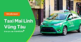 Review taxi Mai Linh Vũng Tàu: Giá cước, cách đặt, số hotline, Nguyễn Thụy Mộc Nhiên