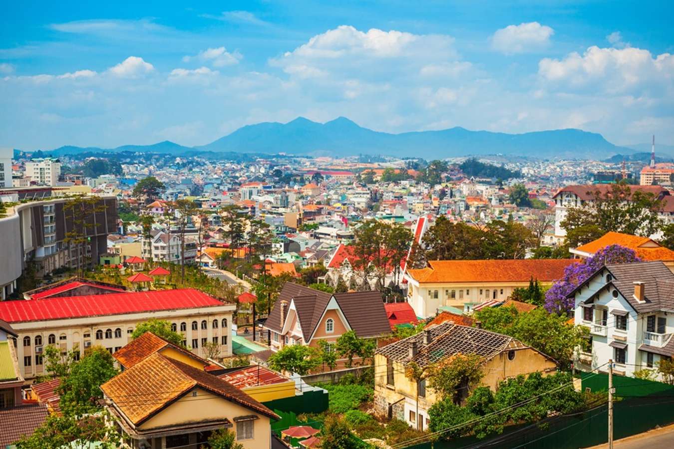 tháng 8 cung gì