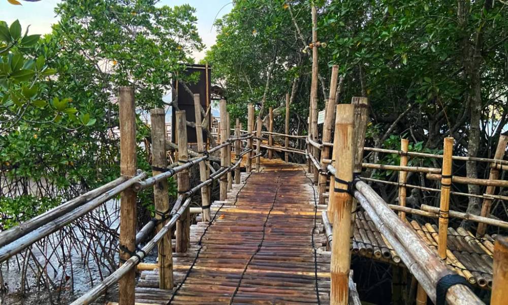 Lối đi dẫn ra biển ở hồ nước nóng Maquinit 