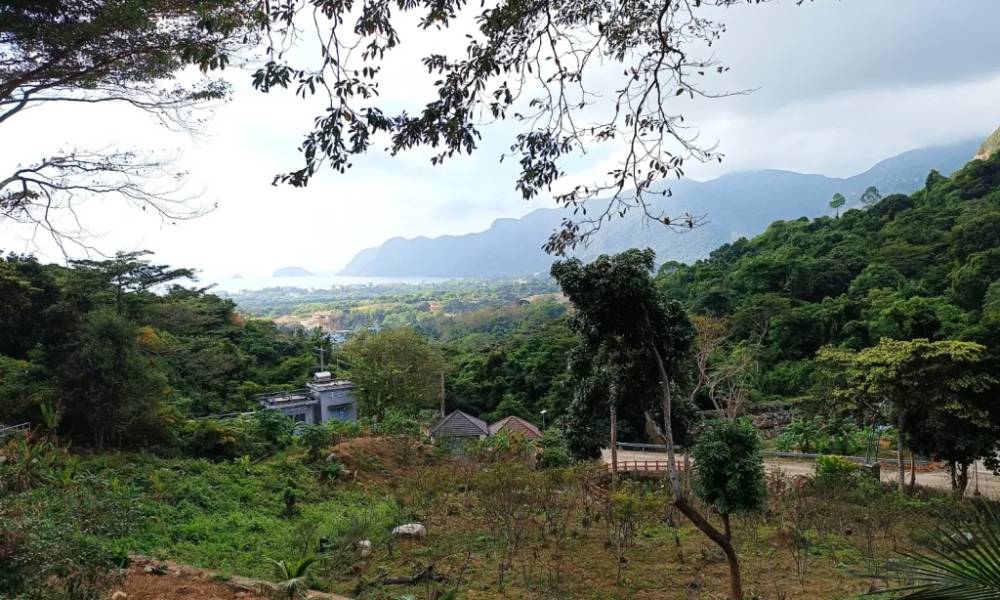 Vườn quốc gia Côn Đảo được bao phủ bởi cây xanh