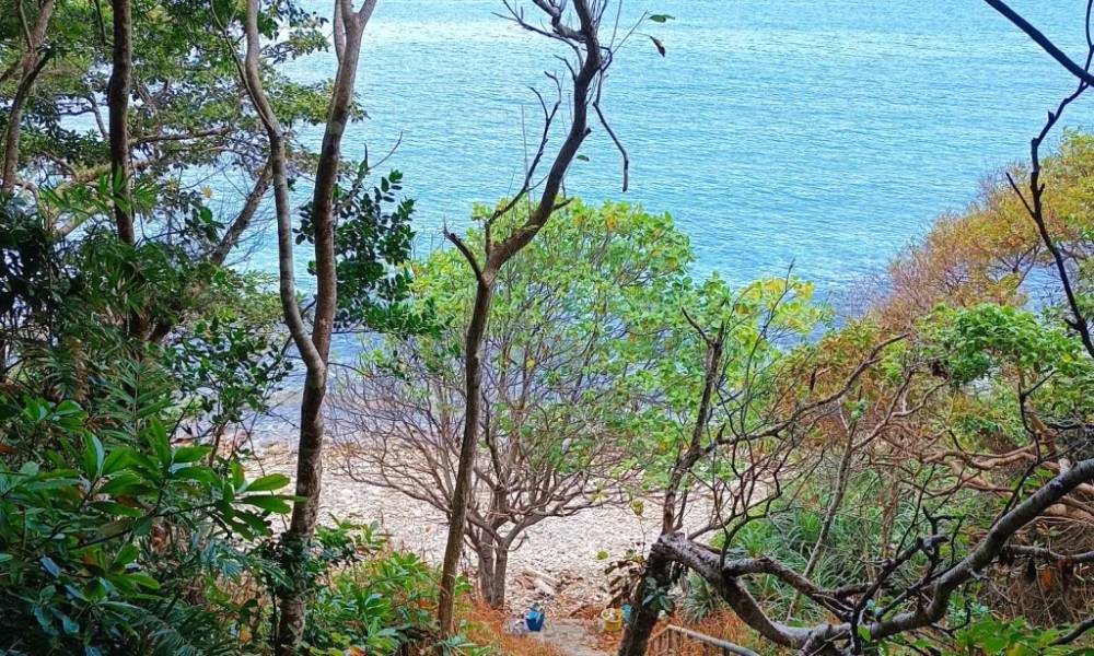 Đường xuống bãi Bàng đầy thơ mộng