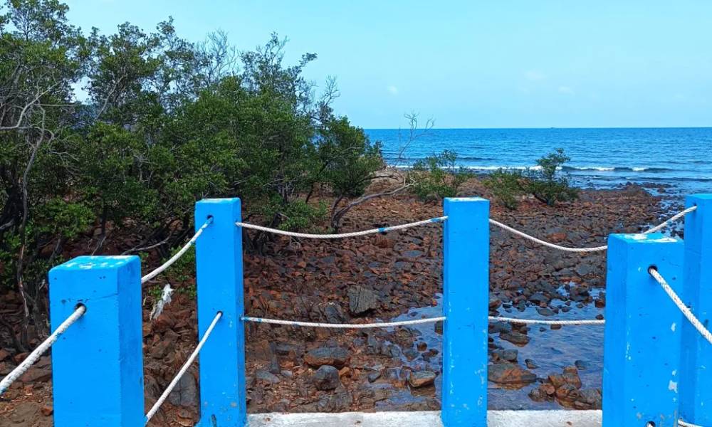 Lối tới nơi cano cập bến