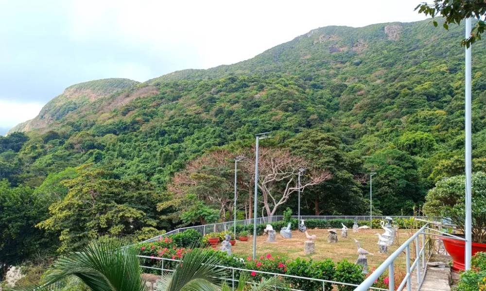 Núi thấp ở Vườn quốc gia Côn Đảo