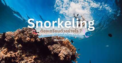 Snorkeling ต้องเตรียมตัวอย่างไร ? พร้อมแนะนำจุดดำน้ำยอดนิยม, Traveloka TH