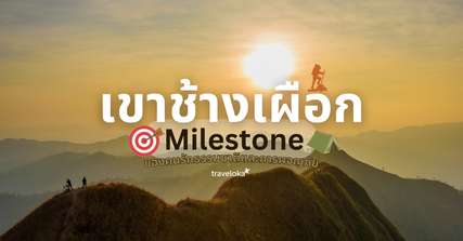 เขาช้างเผือก Milestone ของคนรักธรรมชาติและการผจญภัย, Traveloka TH