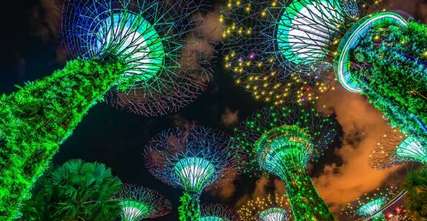 Mid-Autumn Festival at Gardens by the Bay: Lanterns, Performances, and Mooncakes