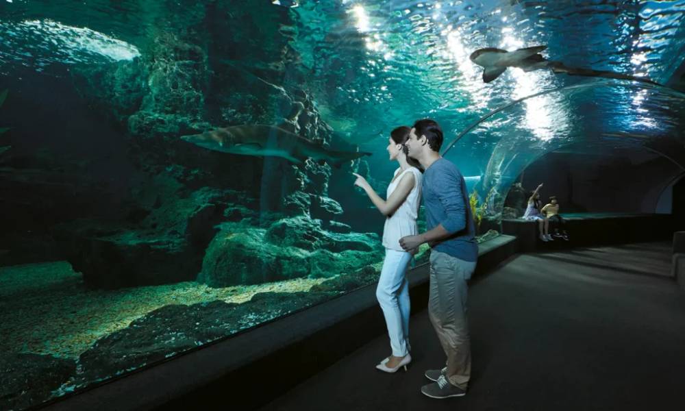 Đường hầm đại dương
