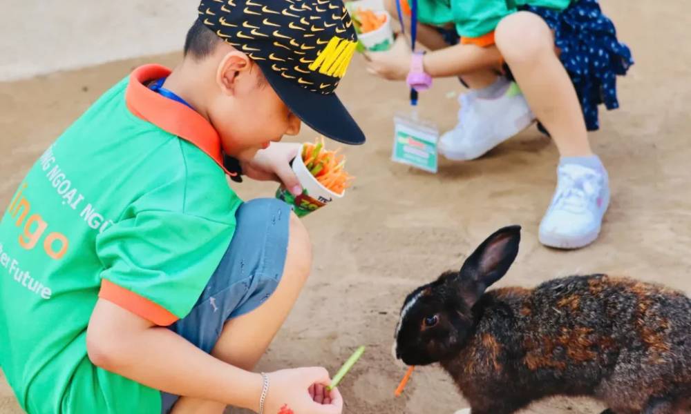 Tương tác cùng thú tại Tiny Zoo
