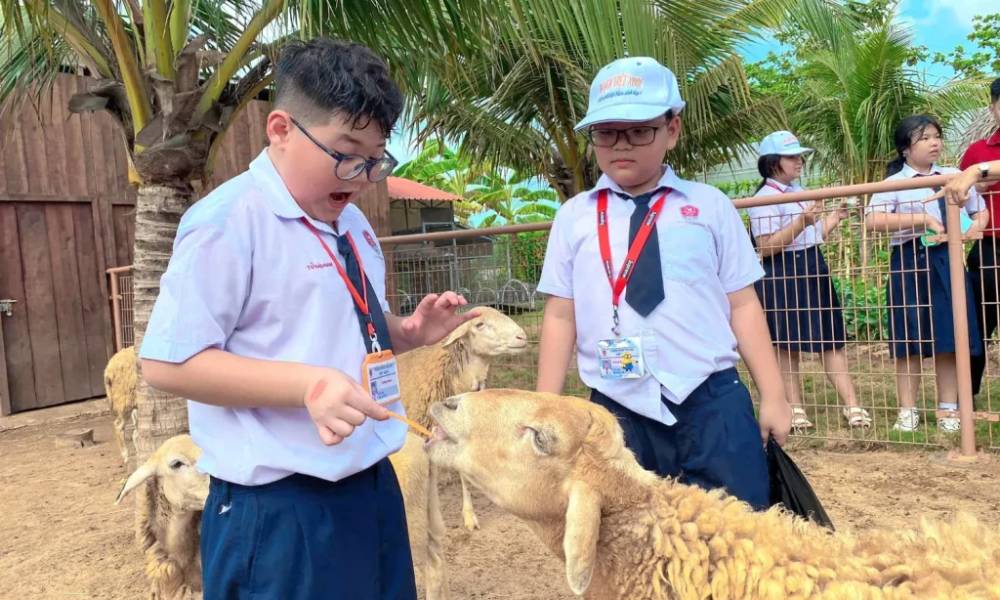 Hoạt động tương tác cùng động vật tại công viên