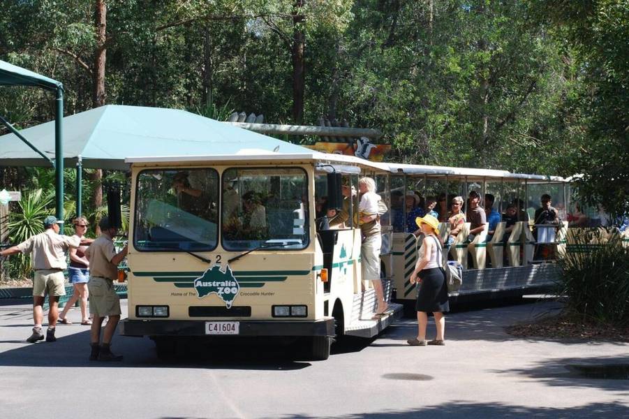 Lưu ý khi ngắm chuột túi Kangaroo