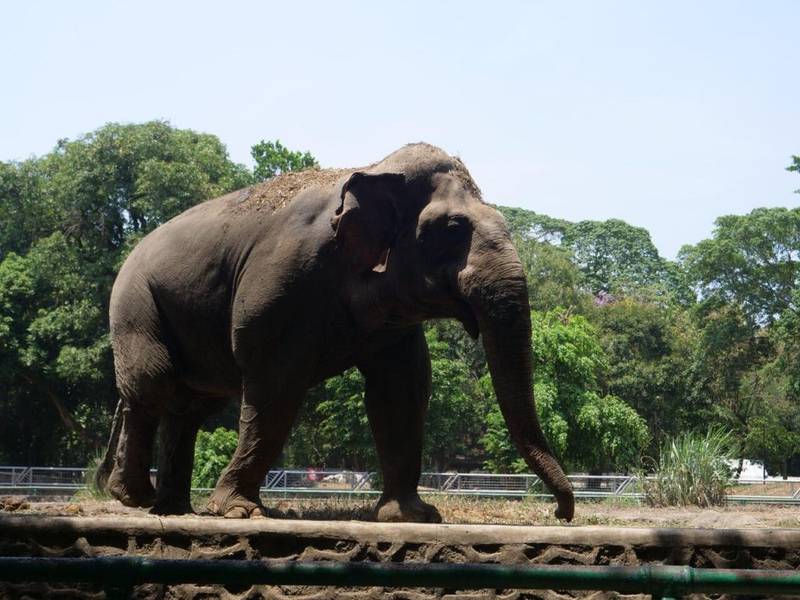 Khu du lịch Buôn Đôn