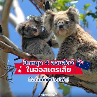 4 สวนสัตว์ในออสเตรเลียที่คนรักธรรมชาติควรแวะไปเยือน!, Traveloka TH