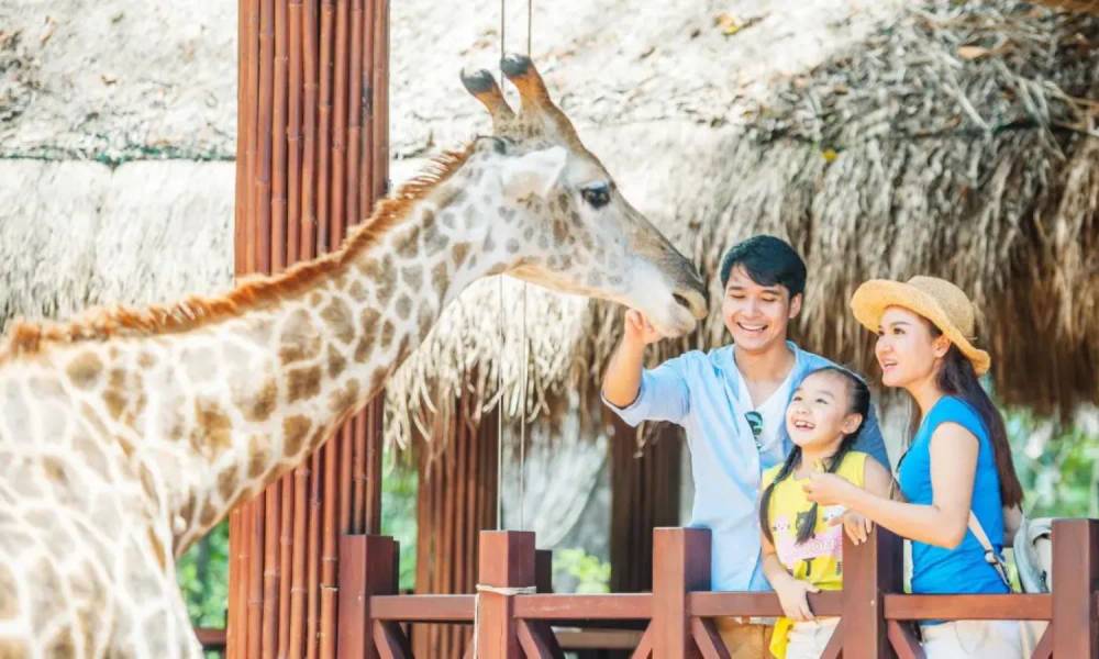 Ngắm nhìn nhiều loài động vật hoang dã tại Safari Cafe Phan Thiết