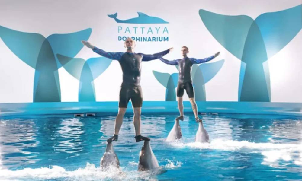 Pattaya Dolphinarium Thái Lan