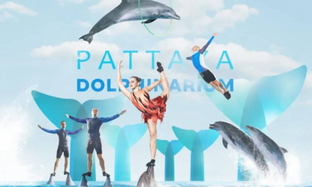 Trình diễn cá heo tại Pattaya Dolphinarium
