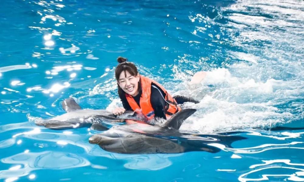 bơi cùng cá heo ăn tại Dolphin Bay Phuket 