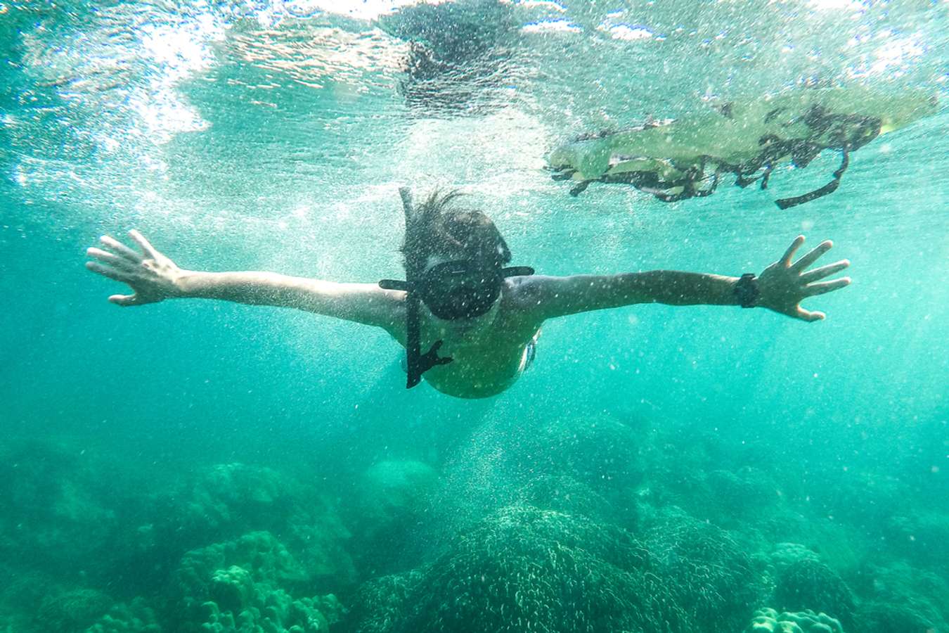 Asian tourists are doing diving activities to see beautiful coral reefs.