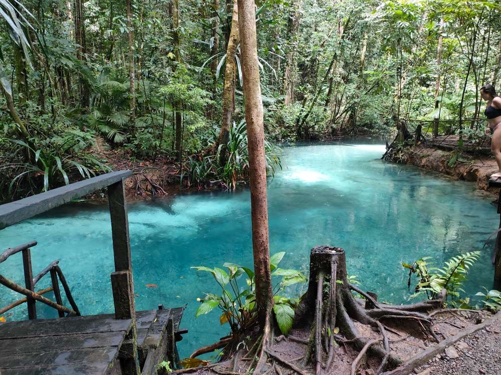 Jelajahi Kali Biru, Jayapura: Surga Tersembunyi di Papua