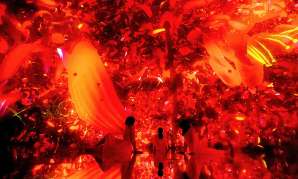 teamLab Planets TOKYO rực rỡ sắc màu