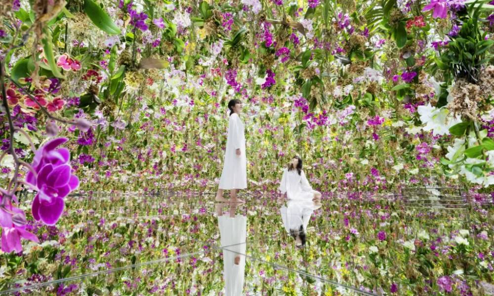 Khu vườn với những bông hoa lơ lửng đầy sắc màu