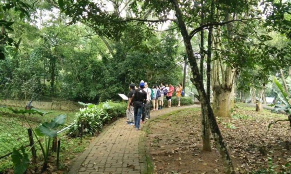 công viên chim Melaka tại vườn thú Melaka Zoo
