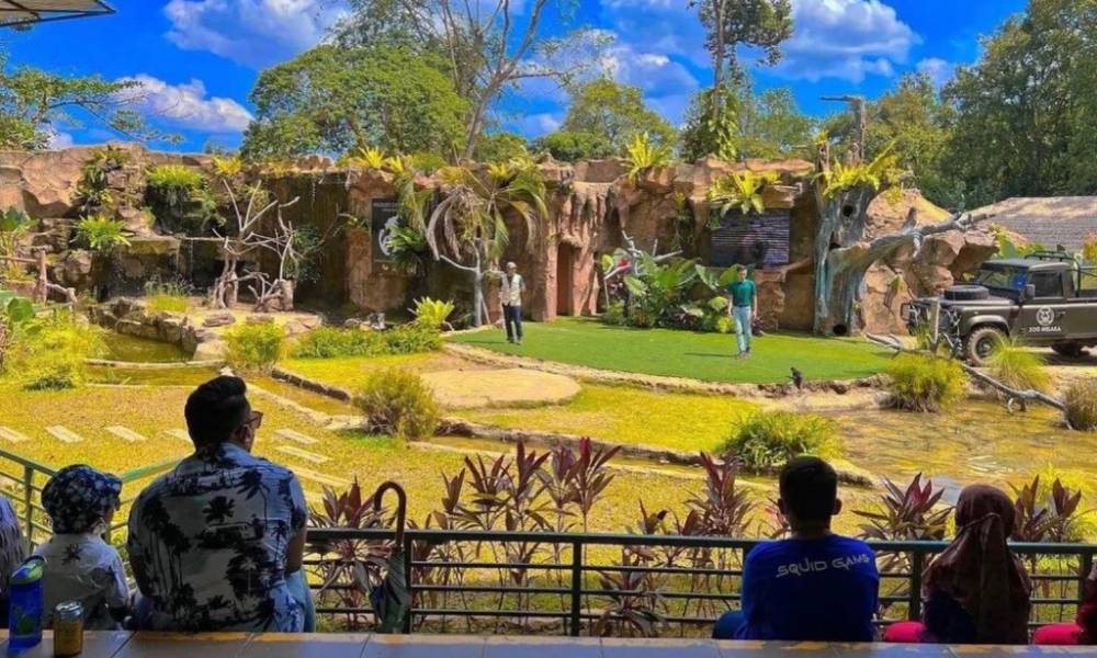  thuyết trình về động vật tại vườn thú Melaka Zoo
