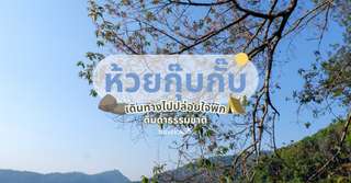 ห้วยกุ๊บกั๊บ เดินทางไปปล่อยใจพัก ดื่มด่ำธรรมชาติ, Traveloka TH