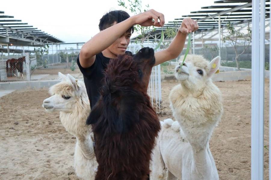 Tiên Tiến Farm & Zoo