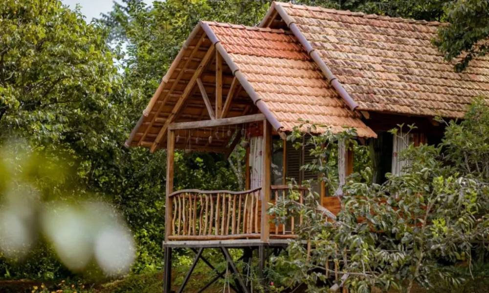 1 khu retreat tại Đà Lạt