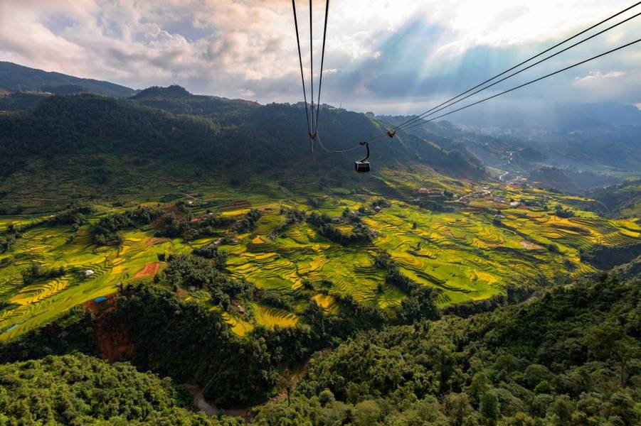 Cánh rừng nguyên sinh rậm rạp tại núi Fansipan