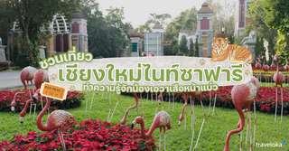 ชวนเที่ยวเชียงใหม่ไนท์ซาฟารี: ทำความรู้จัก "น้องเอวา" เสือหน้าแบ๊ว, Traveloka TH