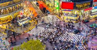 Shibuya Sakura Stage: The Magic of SAKURA Xmas 2024 in Tokyo, Xperience Team