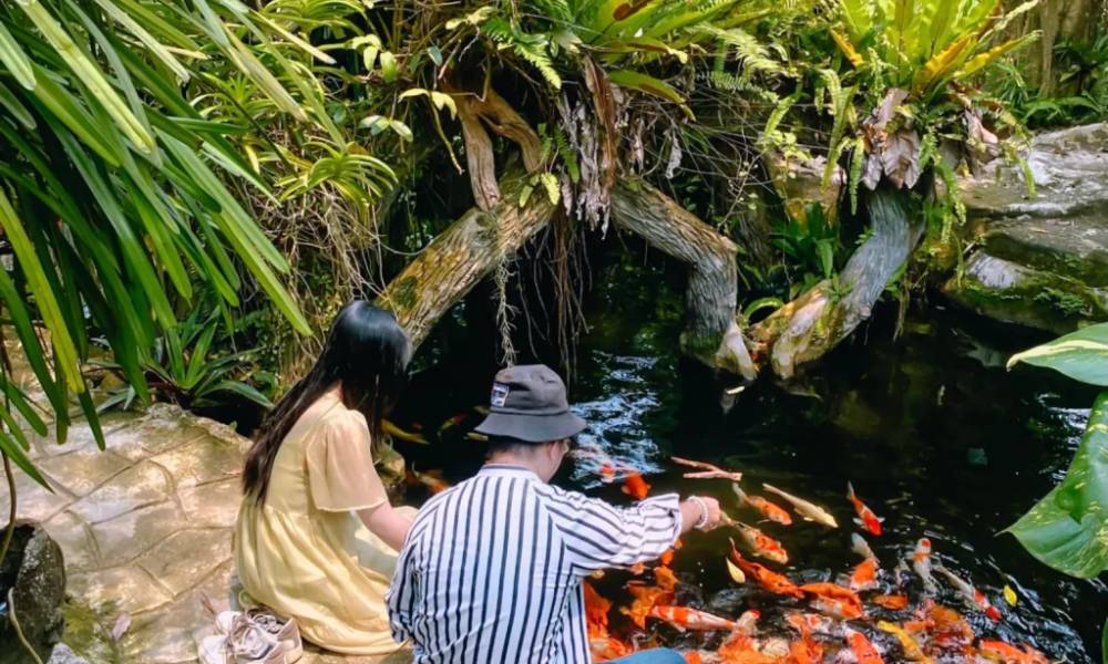Hồ Xuân Nghinh, Đảo Hoa Lan , Nha Trang