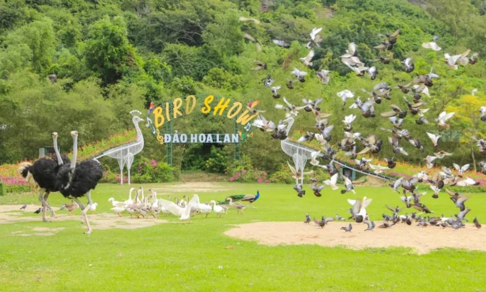 Đảo Hoa Lan , Nha Trang