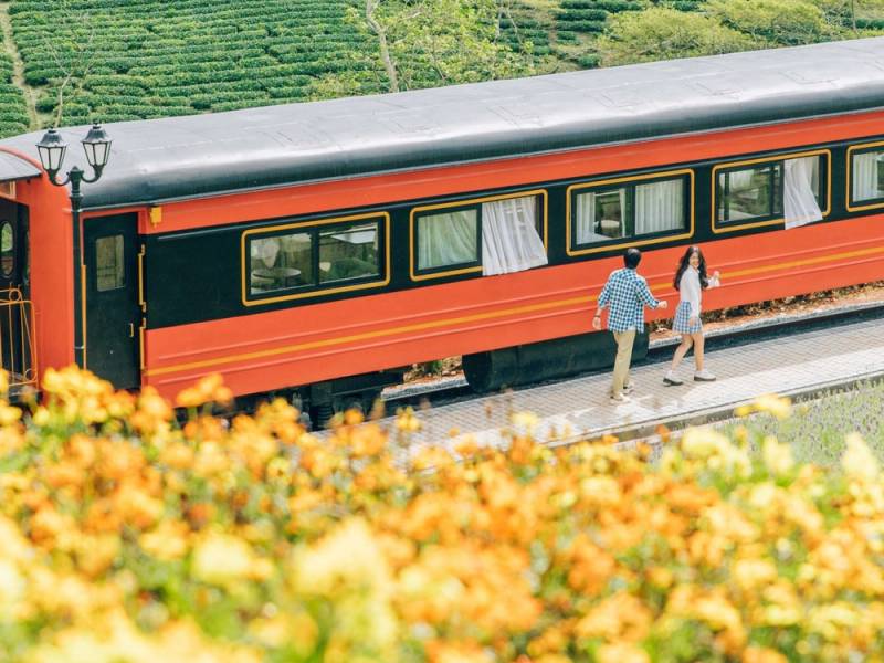 tau hoa tren doi che cau dat
