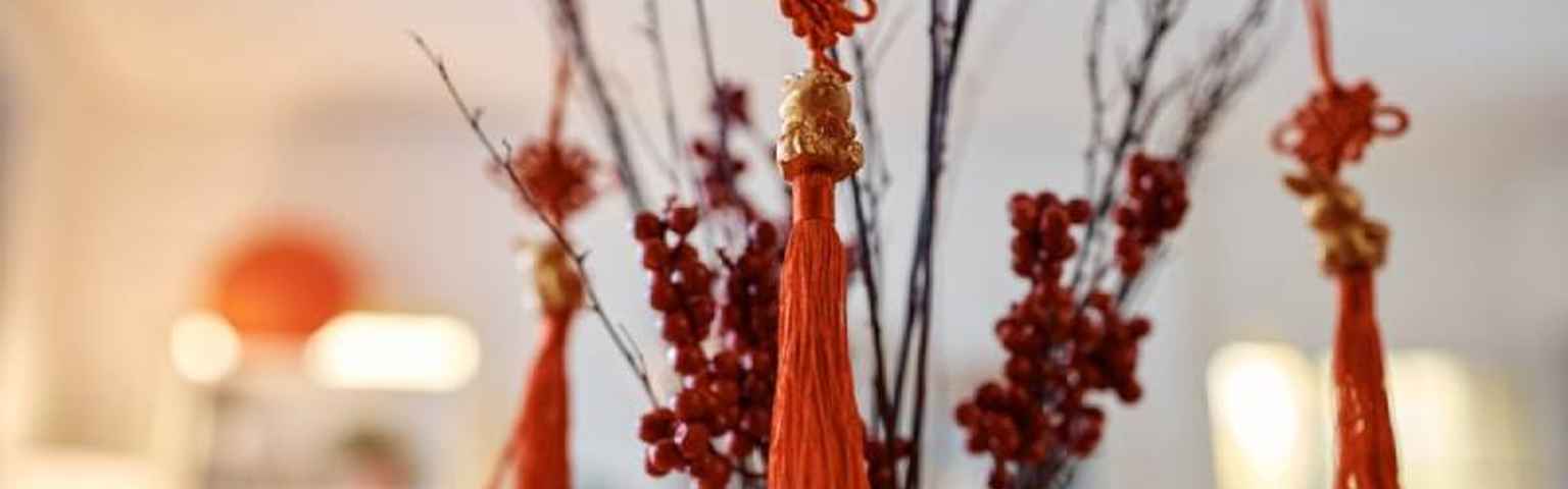 chinese new year plant names