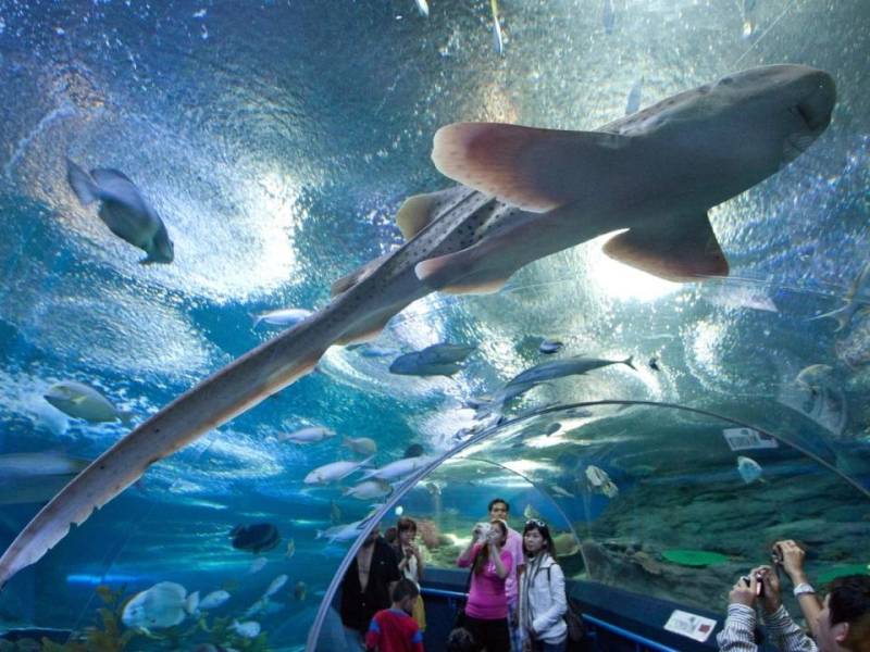 Underwater World Pattaya