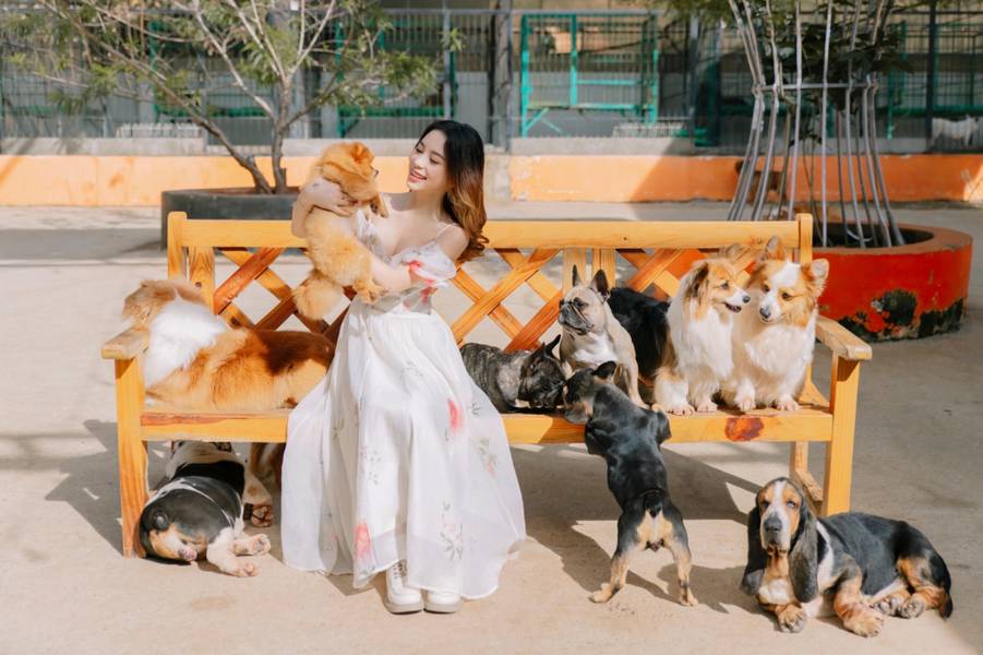 Nếu yêu thích cún thì bạn không thể bỏ qua Puppy Farm | The Florest - Hoa trong rừng