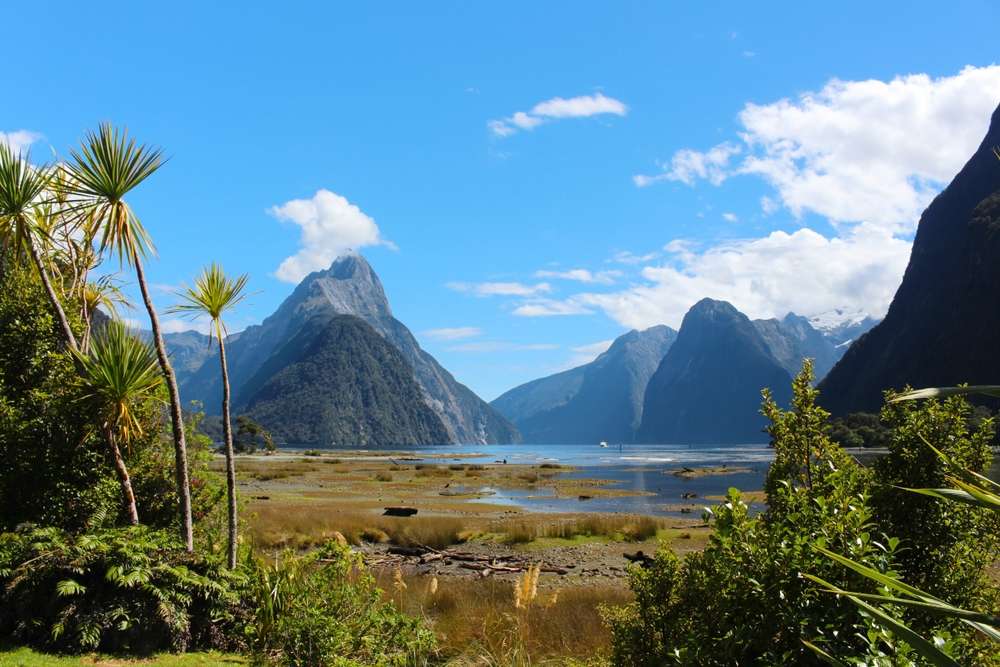 Best Time to Visit New Zealand – Month-by-Month Guide - Traveloka