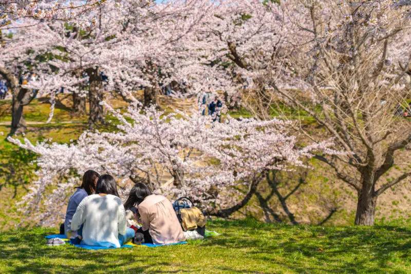 Goryokaku Park