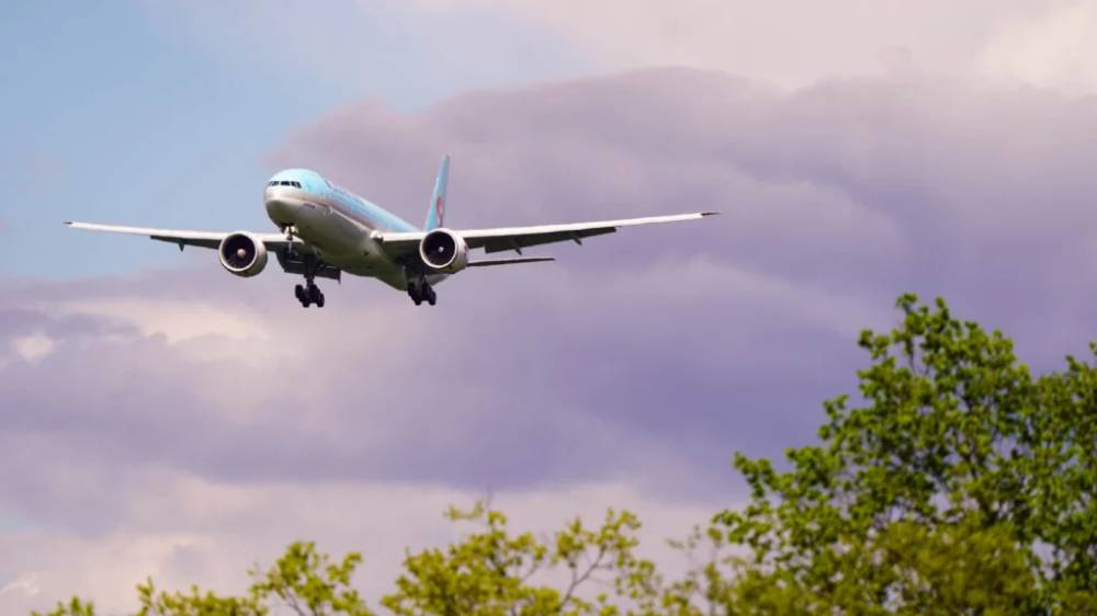 A Korean Air plane coming in for a landing.