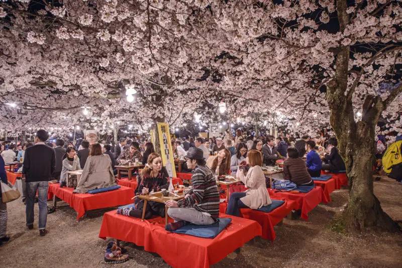 Maruyama Park