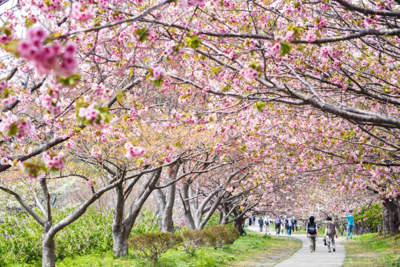 Matsumae Park
