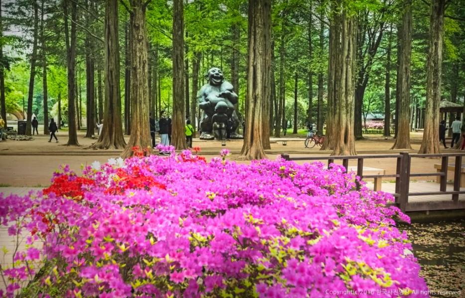 Nami Island di Korea Selatan