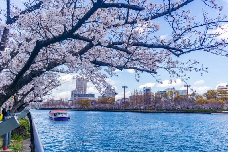 Okawa River