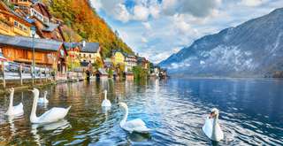Menjelajahi Austria, Pentingnya Memahami Bahasa Resmi Austria dalam Perjalananmu!, Travel Bestie
