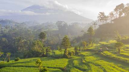 Bali Visa Guide for Australians: Everything You Need to Know (2026), Traveloka Team