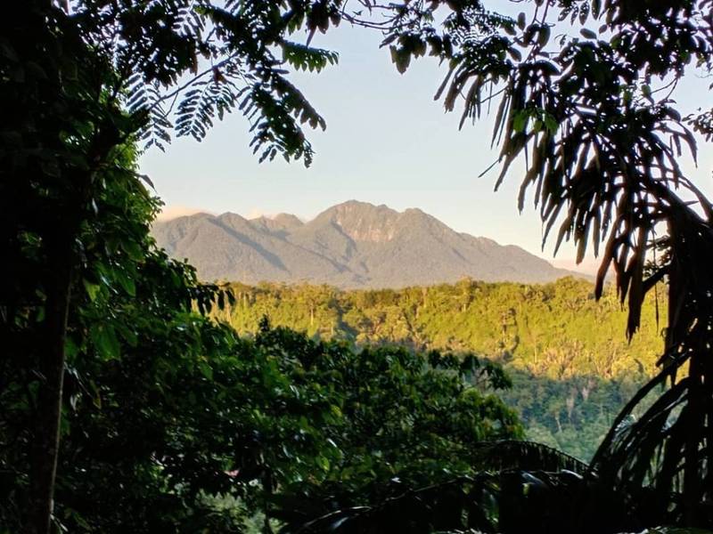 Aktivitas yang Bisa Dilakukan di Taman Wisata Alam Sibolangit